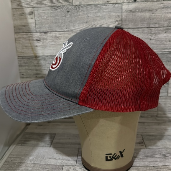 Texas gray trucker baseball cap hat - Picture 2 of 6